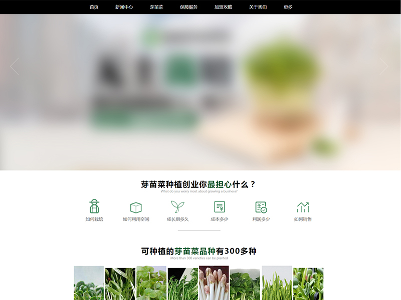 A0033-芽苗菜种植行业网站